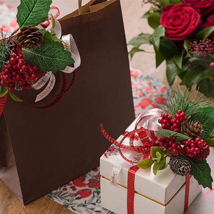 DECORACION NAVIDAD SANTEX