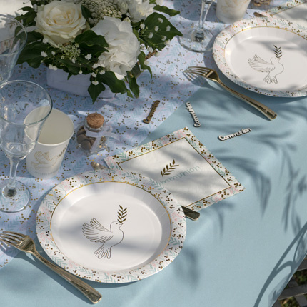 VAJILLAS COMUNIONES Y BAUTIZOS