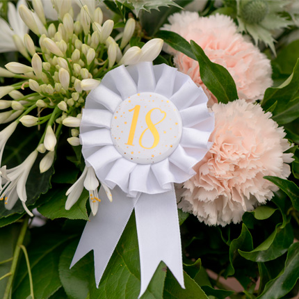 ACCESORIOS DISFRACES Y CONDECORACIONES SANTEX